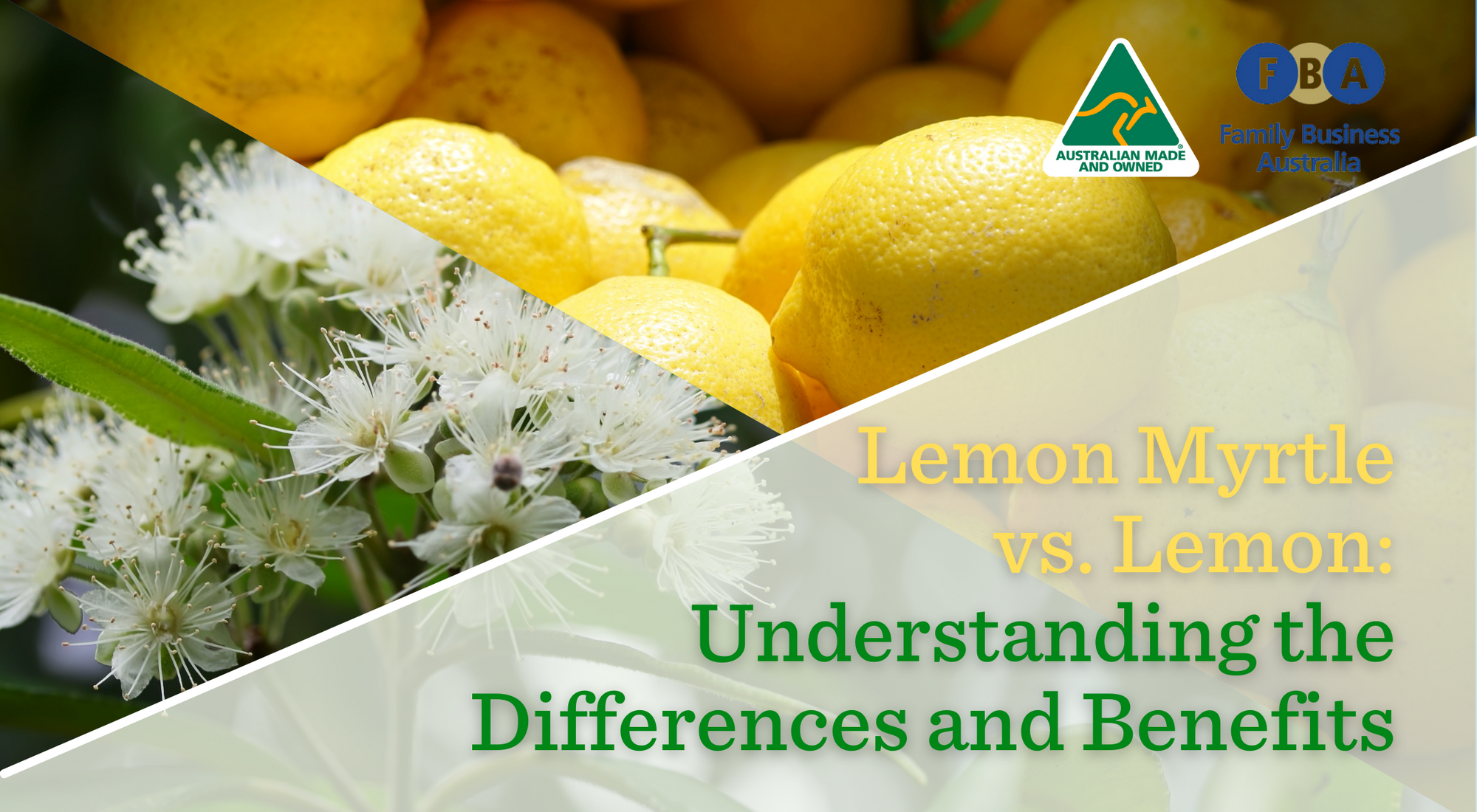 Lemon Myrtle vs. Lemon: Understanding the Differences and Benefits Lemon Myrtle Fragrance Australia
