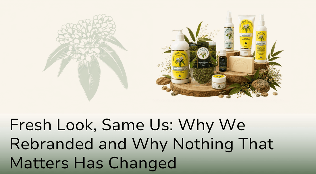Fresh Look, Same Us: Why We Rebranded and Why Nothing That Matters Has Changed