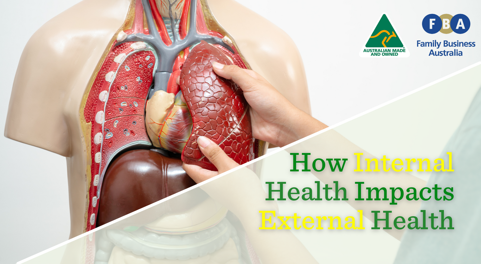 Internal Health Science Term How Internal Health Impacts External Health - Lemon Myrtle Fragrances