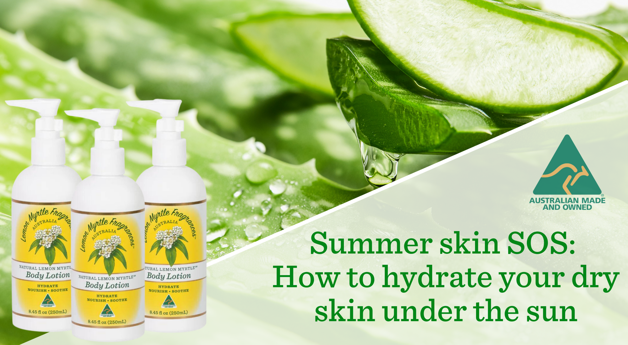 Lemon Myrtle Fragrances and the Collagen Boosting Properties of Aloe Vera