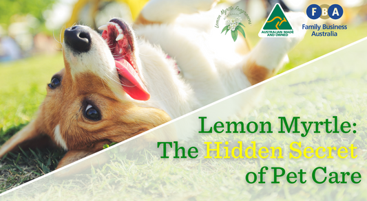 The Hidden Secret of Pet Care: 5 Natural and Effective Lemon Myrtle Products for Your Furry Friends, dog in sun under title words