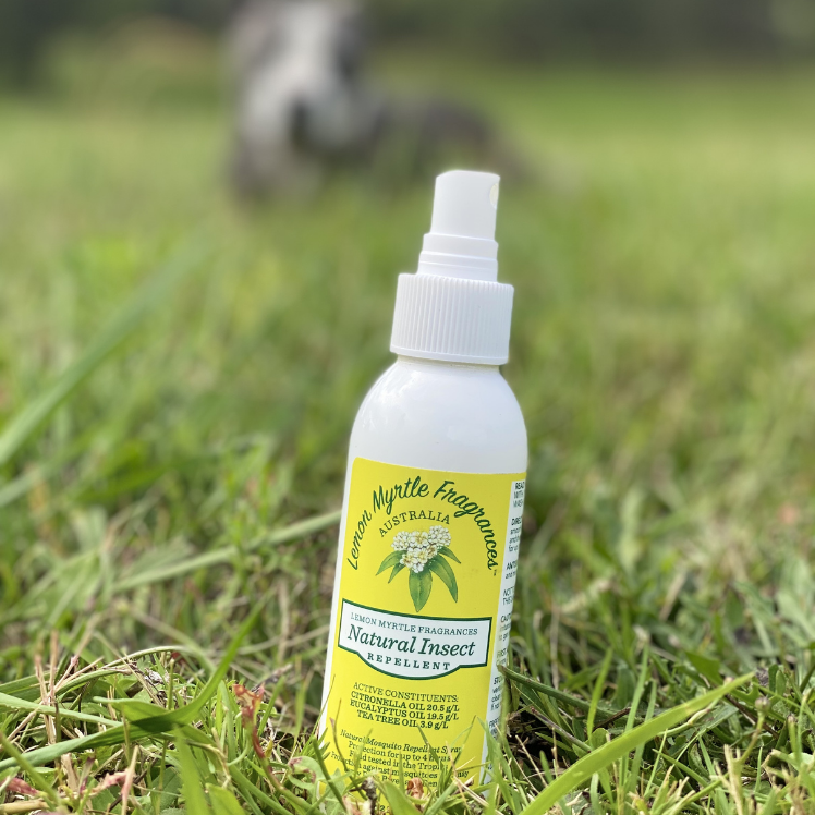 Why you should check if your insect repellent is APVMA approved - Lemon  Myrtle Fragrances