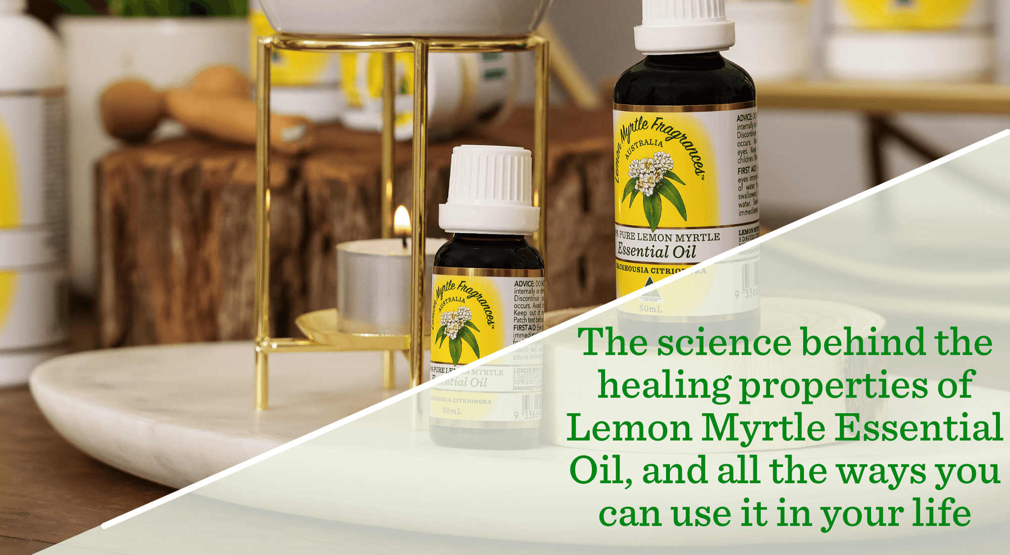 The science behind the healing properties of Lemon Myrtle Essential Oil, and all the ways you can use it in your life